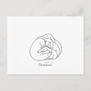 Dachshunds "Curled Together".jpg Briefkaart