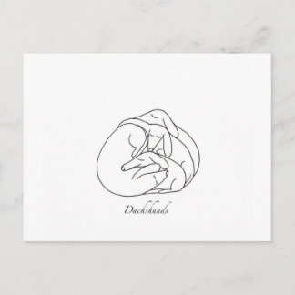 Dachshunds "Curled Together".jpg Briefkaart