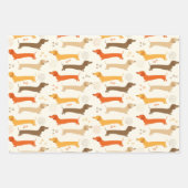 Dachshunds en Stippen Inpakpapier Set Vel (Voorkant)