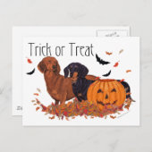 Dachshunds Halloween Briefkaart (Voorkant / Achterkant)