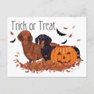 Dachshunds Halloween Briefkaart