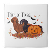 Dachshunds Halloween Tegeltje (Voorkant)