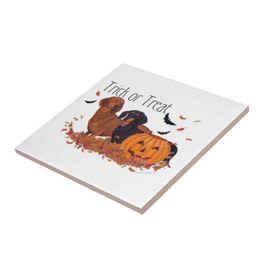 Dachshunds Halloween Tegeltje (Zijkant)