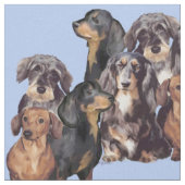 Dachshunds in Blue Stof (Close Up)