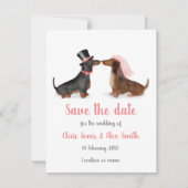 Dachshunds in liefde, behalve de datumkaart (jonge save the date (Voorkant)