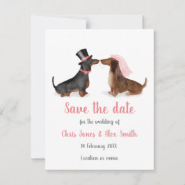 Dachshunds in liefde, behalve de datumkaart (jonge save the date