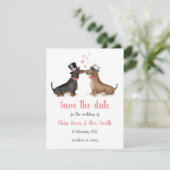 Dachshunds in liefde, behalve de datumkaart (jonge save the date (Staand voorkant)