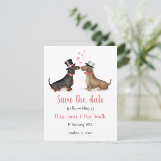 Dachshunds in liefde, behalve de datumkaart (jonge save the date (Staand voorkant)