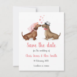 Dachshunds in liefde, behalve de datumkaart (meisj save the date