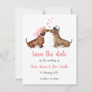 Dachshunds in liefde, behalve de datumkaart (meisj save the date