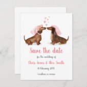 Dachshunds in liefde, behalve de datumkaart (meisj save the date (Voorkant / Achterkant)