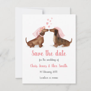 Dachshunds in liefde, behalve de datumkaart (meisj save the date