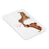 Dachshunds in love fridge magnet (girl/jongen) magneet (Rechterzijde)