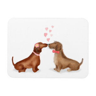 Dachshunds in love fridge magnet (girl/jongen) magneet
