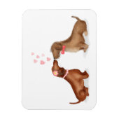 Dachshunds in love fridge magnet (girl/jongen) magneet (Verticaal)
