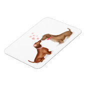 Dachshunds in love fridge magnet (girl/jongen) magneet (Linkerzijde)