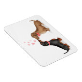 Dachshunds in love fridge magnet (twee jongens) magneet (Rechterzijde)