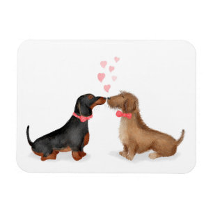 Dachshunds in love fridge magnet (twee jongens) magneet