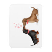 Dachshunds in love fridge magnet (twee jongens) magneet (Verticaal)