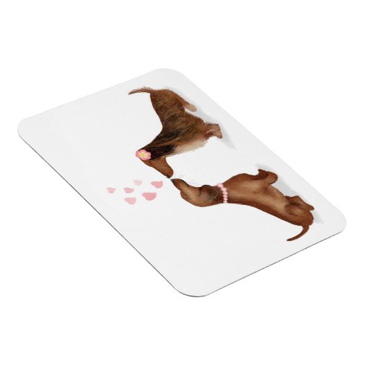 Dachshunds in love fridge magnet (twee meisjes) magneet (Rechterzijde)