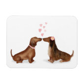 Dachshunds in love fridge magnet (twee meisjes) magneet (Horizontaal)