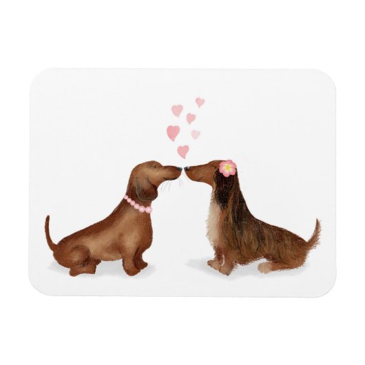 Dachshunds in love fridge magnet (twee meisjes) magneet (Horizontaal)