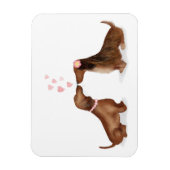 Dachshunds in love fridge magnet (twee meisjes) magneet (Verticaal)