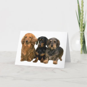 Dachshunds-kaart Kaart