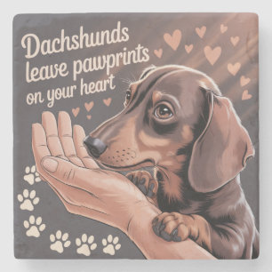 Dachshunds Laten Afdrukken Van Hun Pootjes Op Je H Stenen Onderzetter
