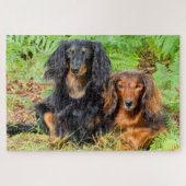 Dachshunds Legpuzzel (Horizontaal)