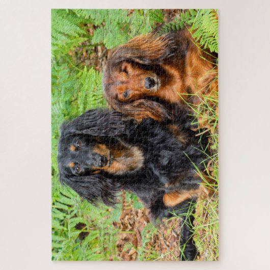 Dachshunds Legpuzzel (Verticaal)