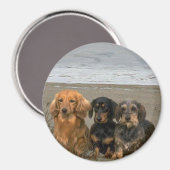 Dachshunds magneet op het strand (Voorkant / Achterkant)