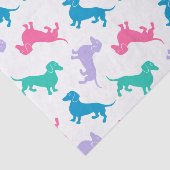 Dachshunds met kleverige pasta tissuepapier (Detail)