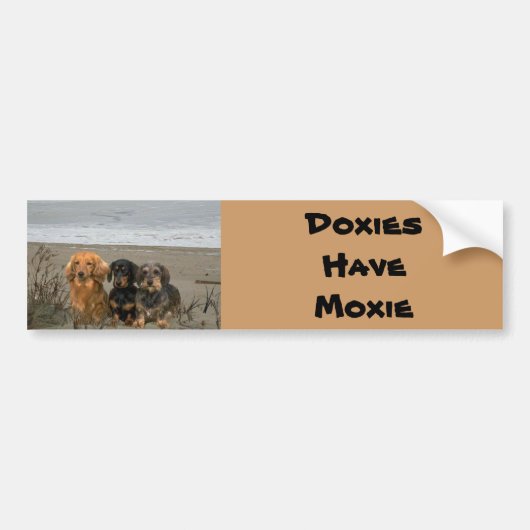 Dachshunds Moxie Bumpersticker Beach (Voorkant)