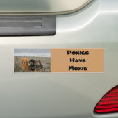 Dachshunds Moxie Bumpersticker Strand (Op auto)
