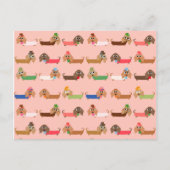 Dachshunds on Pink Briefkaart (Voorkant)