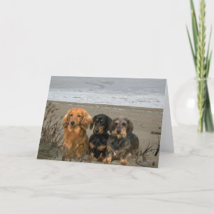 Dachshunds on the Beach card Kaart