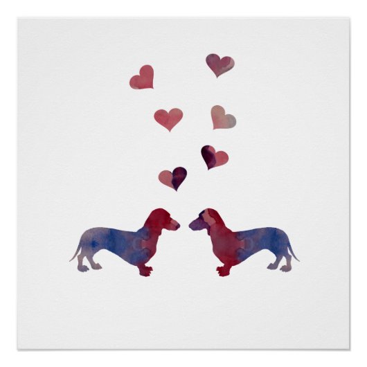 Dachshunds Perfect Poster (Voorkant)