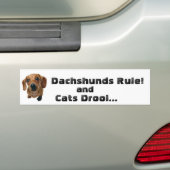 Dachshunds-regel! en Katten Drool... Bumpersticker (Op auto)