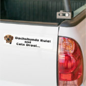 Dachshunds-regel! en Katten Drool... Bumpersticker (Op Truck)
