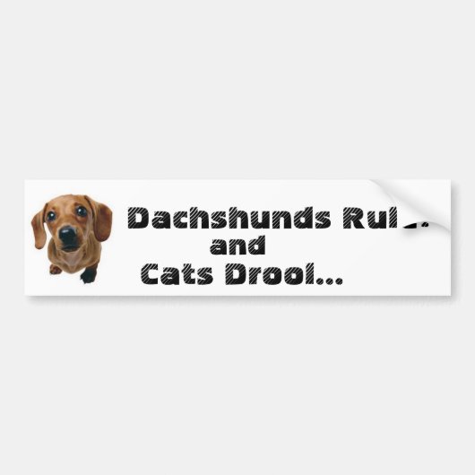 Dachshunds-regel! en Katten Drool... Bumpersticker (Voorkant)