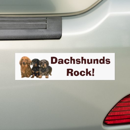 Dachshunds Rock Bumpersticker (Op auto)