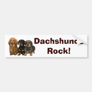 Dachshunds Rock Bumpersticker