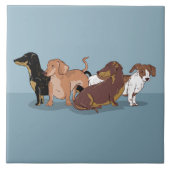 Dachshunds Tegeltje (Voorkant)