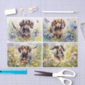 Dachshunds Tissuepapier (Craft)