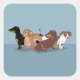 Dachshunds Vierkante Sticker