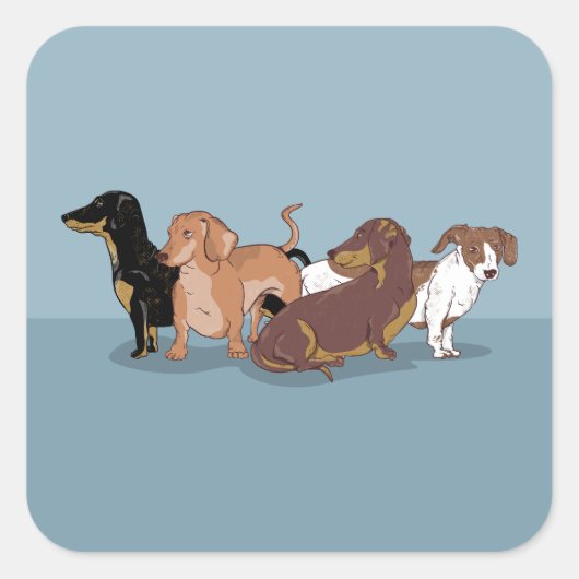 Dachshunds Vierkante Sticker (Voorkant)