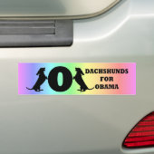 dachshunds voor Obama Bumpersticker (Op auto)