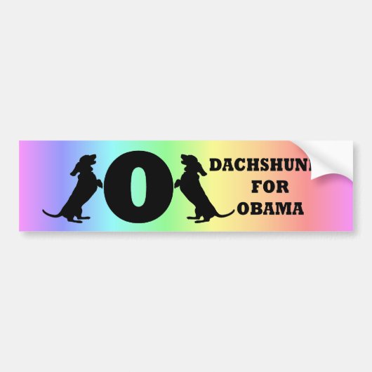 dachshunds voor Obama Bumpersticker (Voorkant)