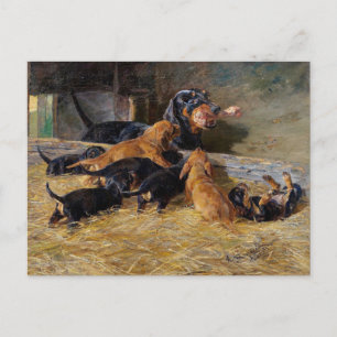 Dachshunds with Puppy in Stable Hermine Bieder ied Briefkaart